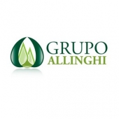 Grupo Allinghi.jpg