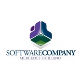 Software Company.jpg