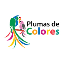 354-plumasdecolores