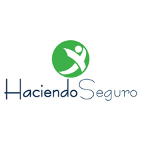 429-haciendo-seguro